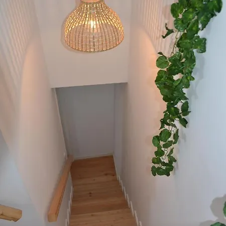 Apartment Olival 54 *