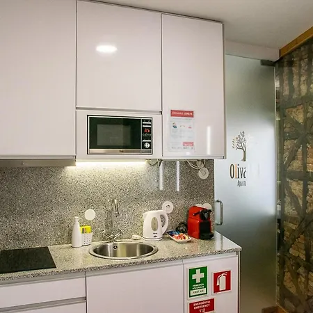 Olival 54 Porto
