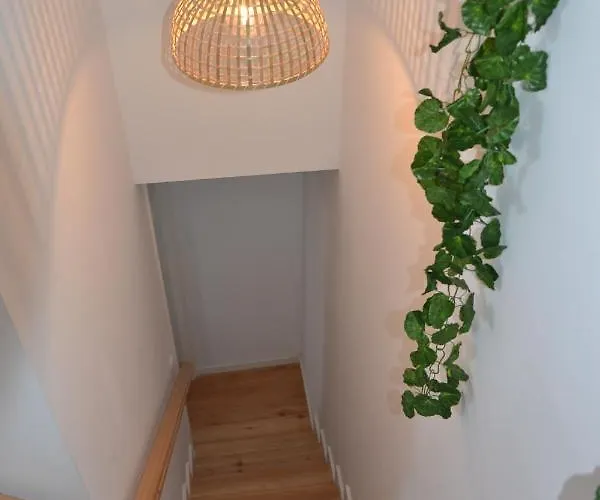 Apartmán Olival 54 *