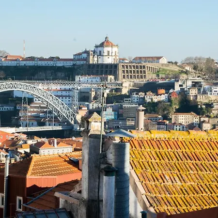 Olival 54 Oporto