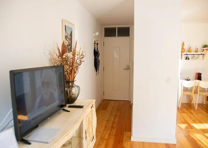 Olival 54 * Порту